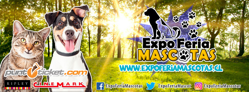 expo mascotas01