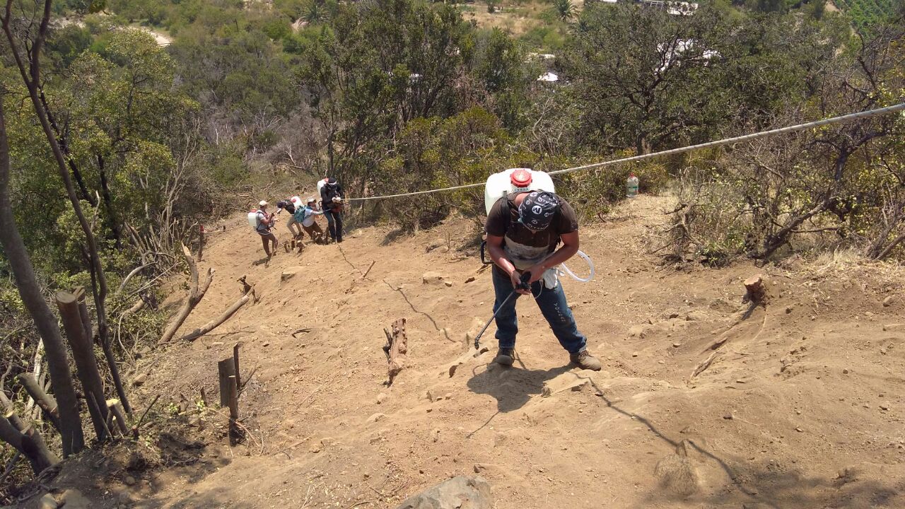 Cerro purgatorio17