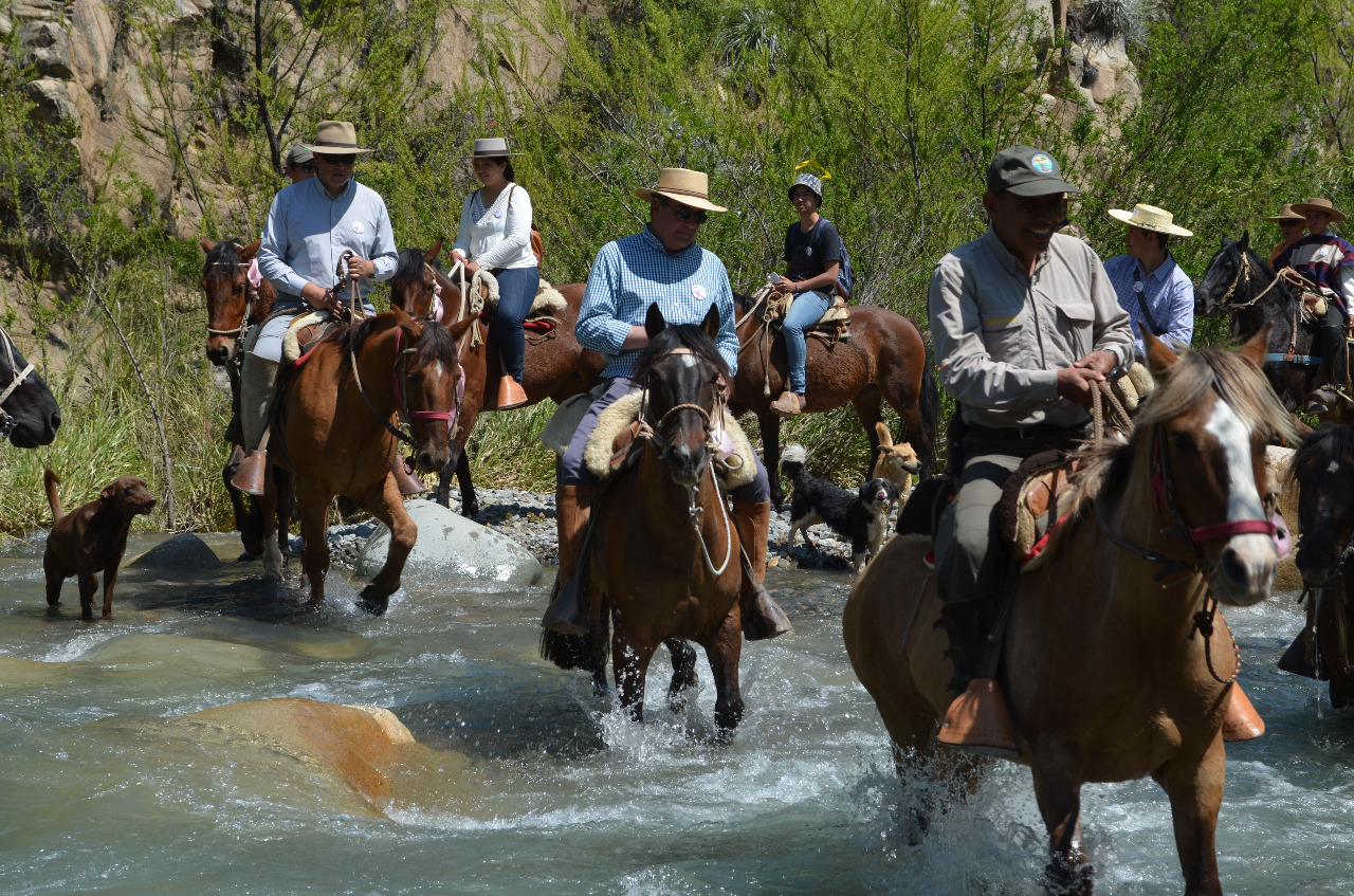 cabalgata17i