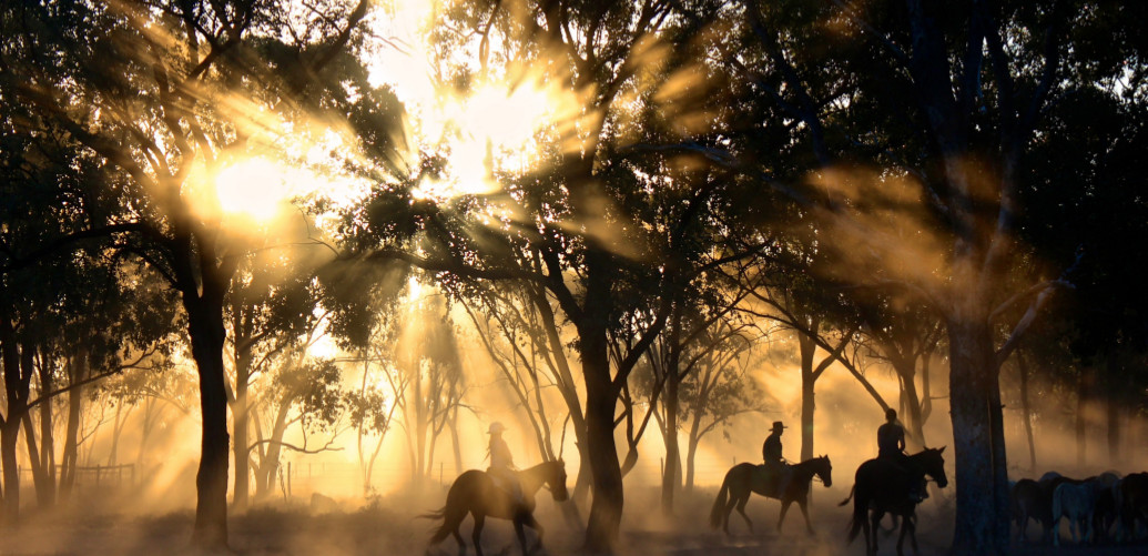 cabalgata lopirque05