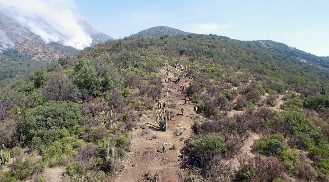 cortafuego toyo