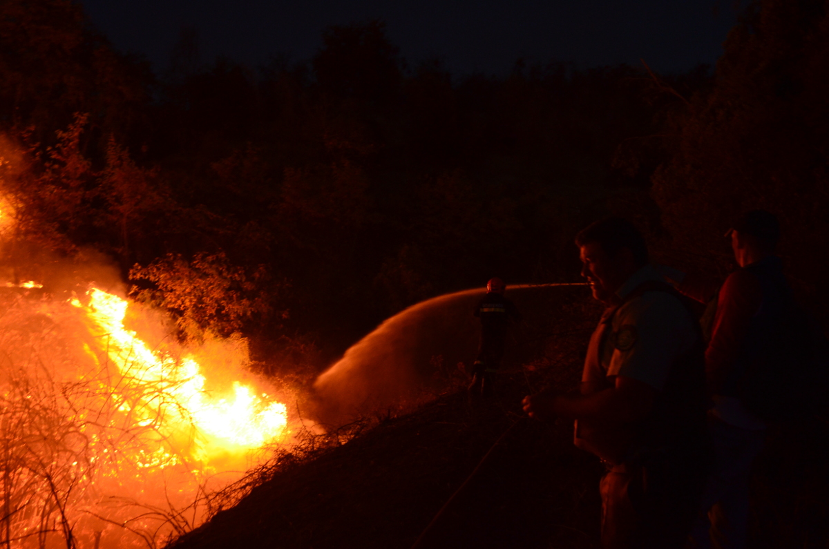 incendio las palomas002