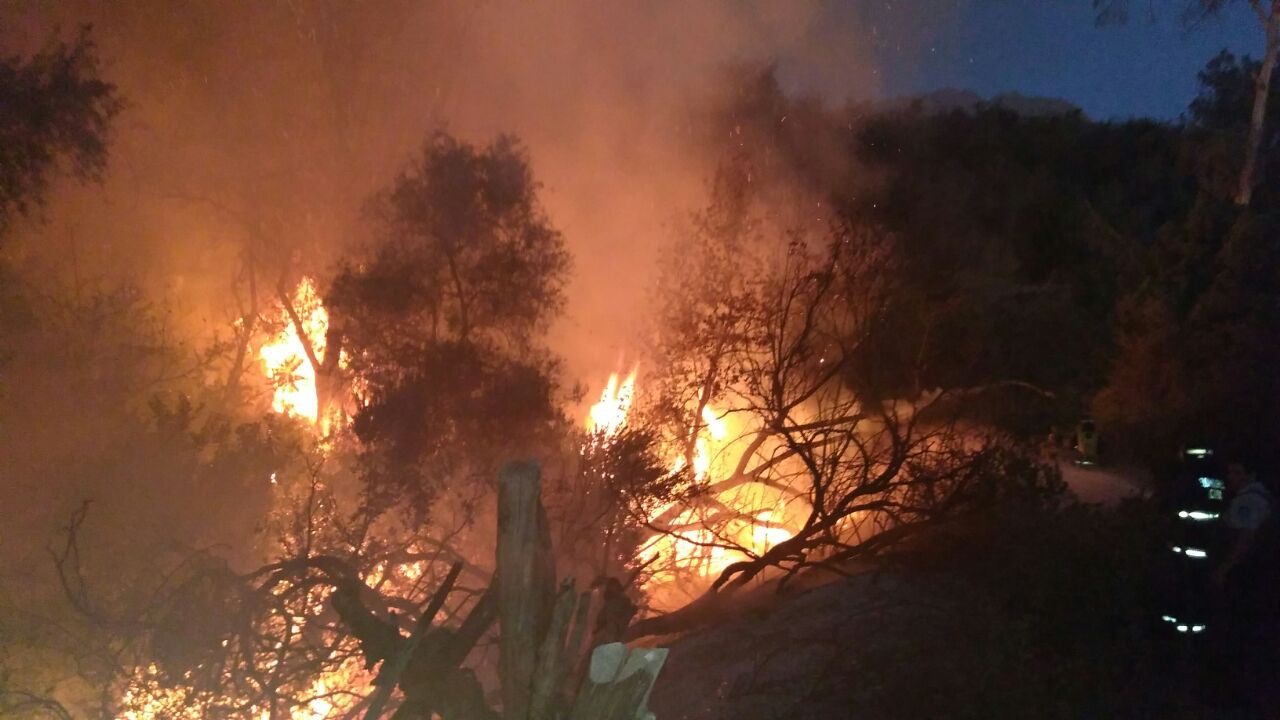 incendio las palomas02