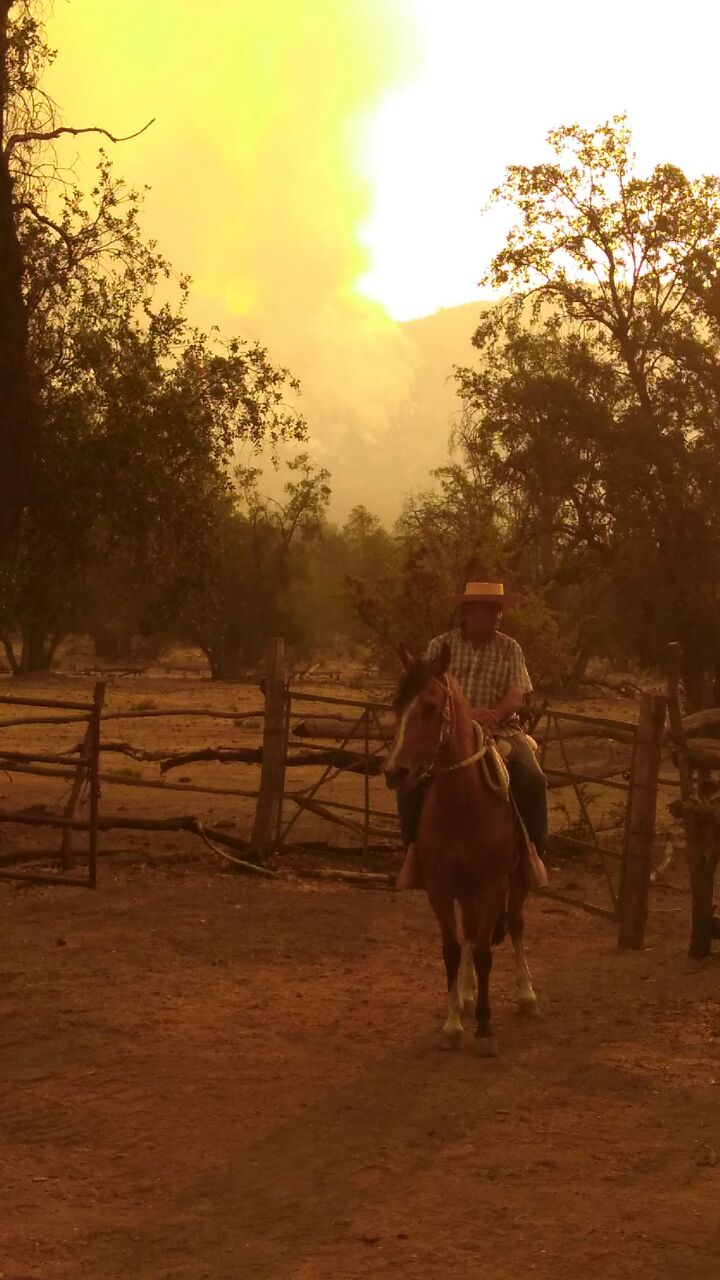 incendio valle bandurrias05