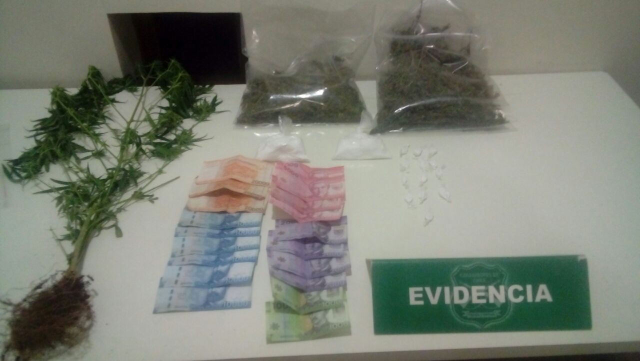 cocasip