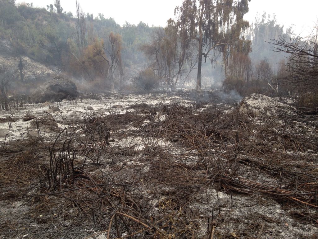 incendio san juan extinguido04