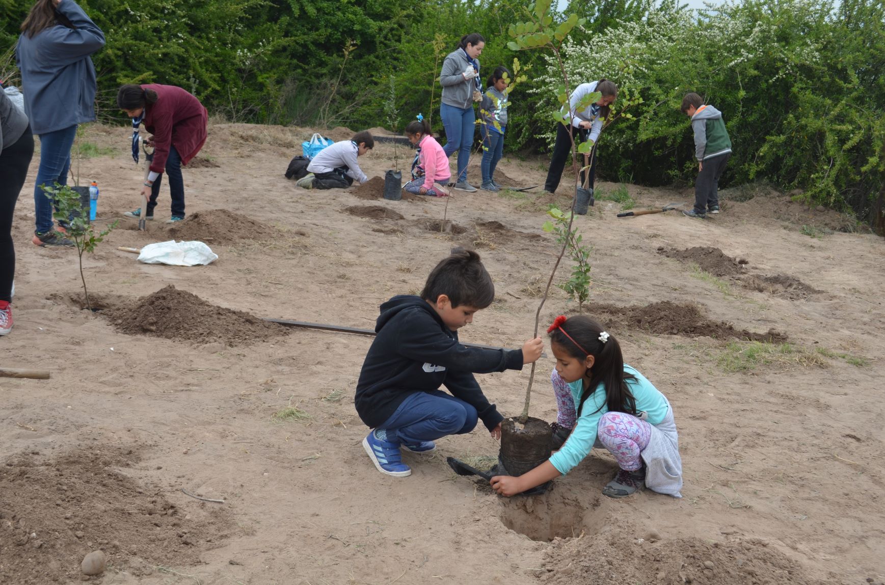 plantacionalmenar04