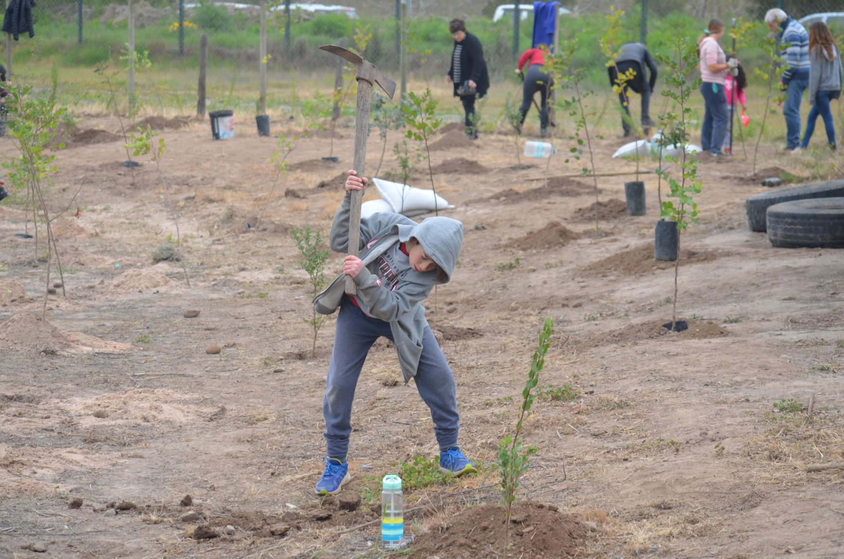 plantacionalmenar06