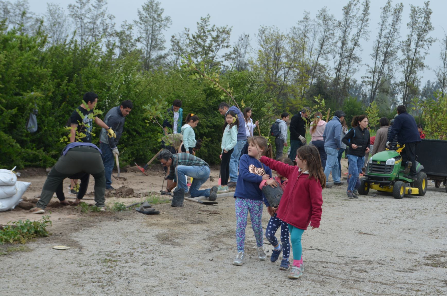 plantacionalmenar06b