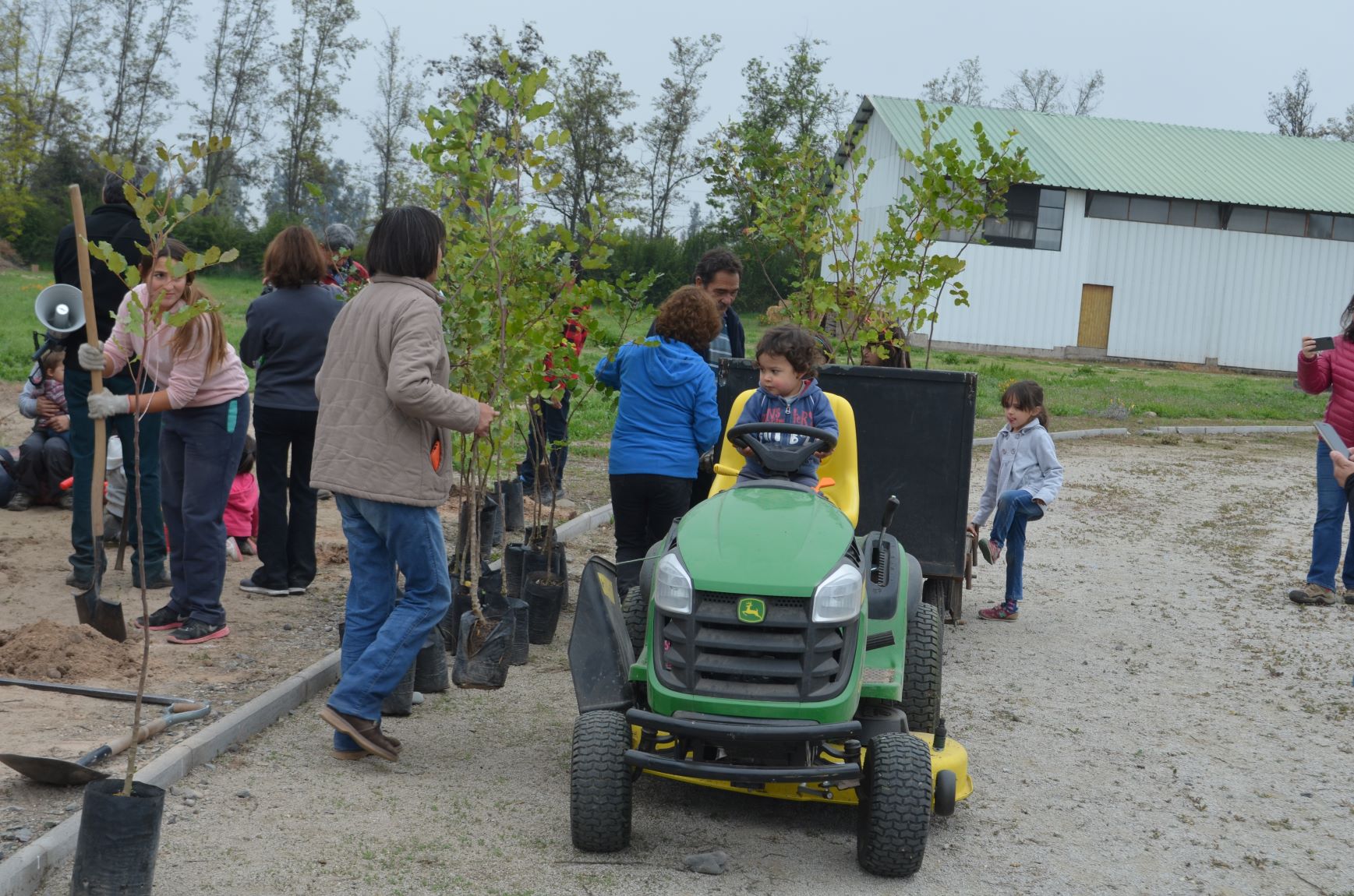 plantacionalmenar06c