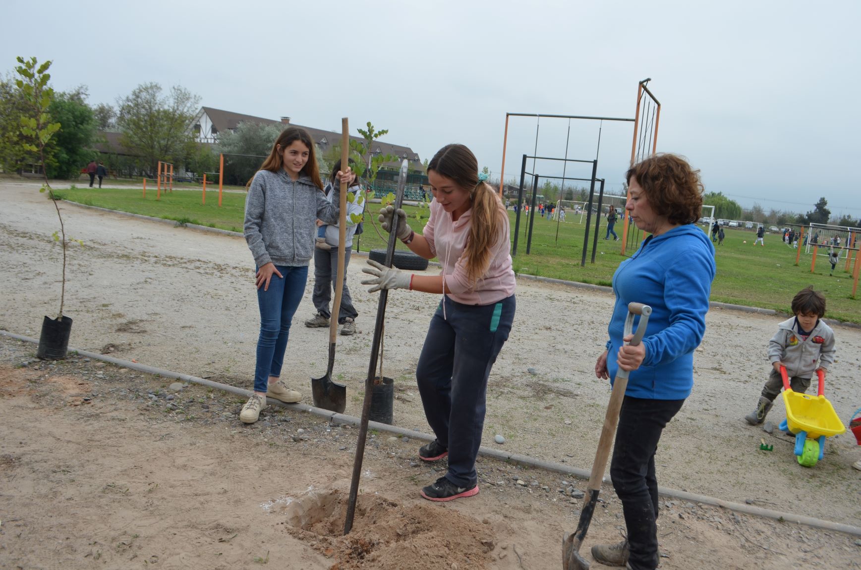 plantacionalmenar09