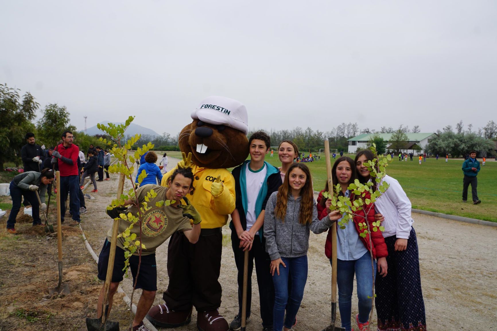 plantacionalmenar09c