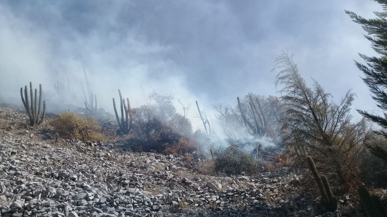 incendio cerro puntilla02