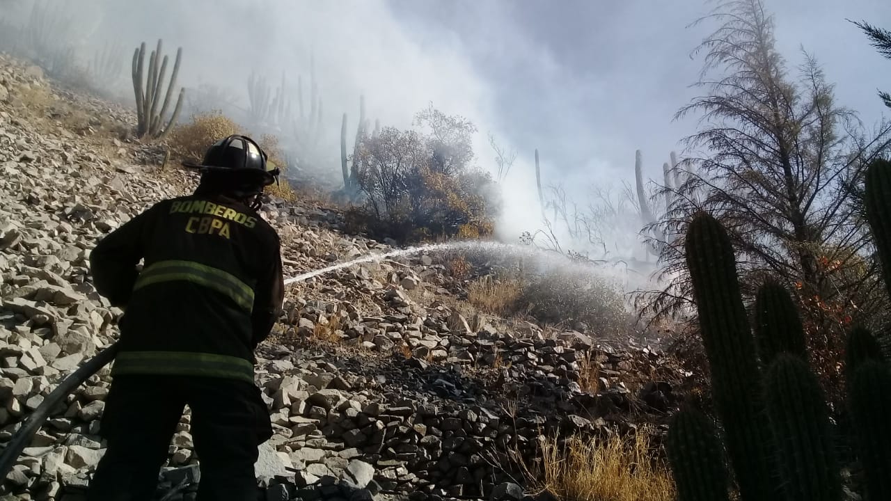 incendio cerro puntilla03