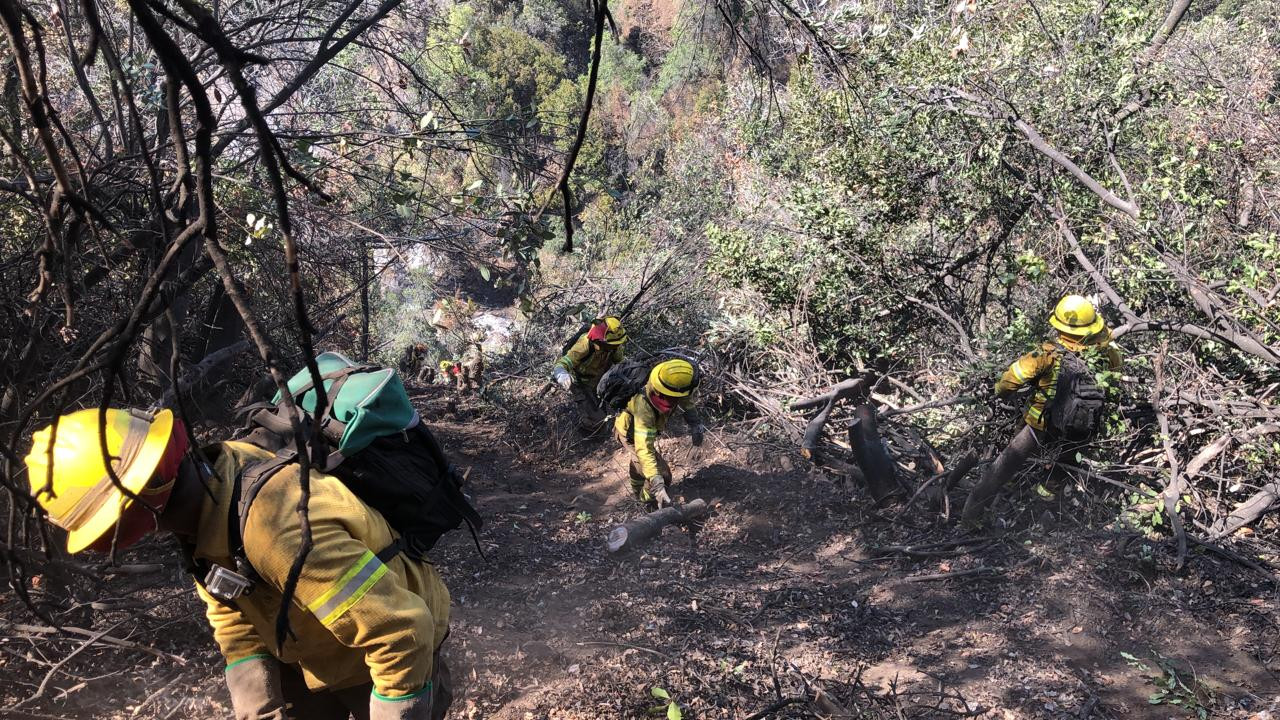 incendio forestal 1dic03