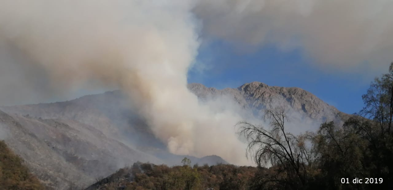 incendio forestal 1dic04