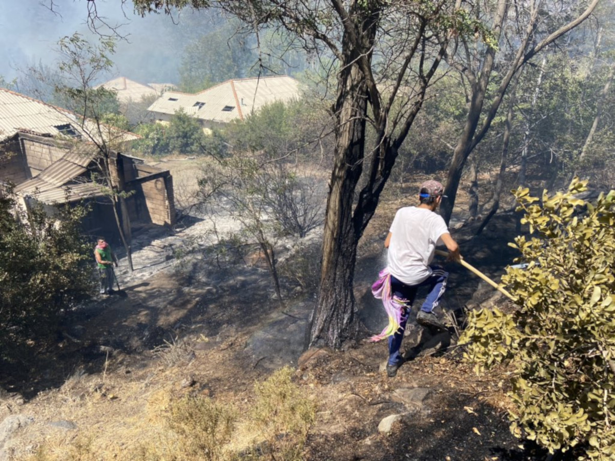 incendio queltehues canelo03