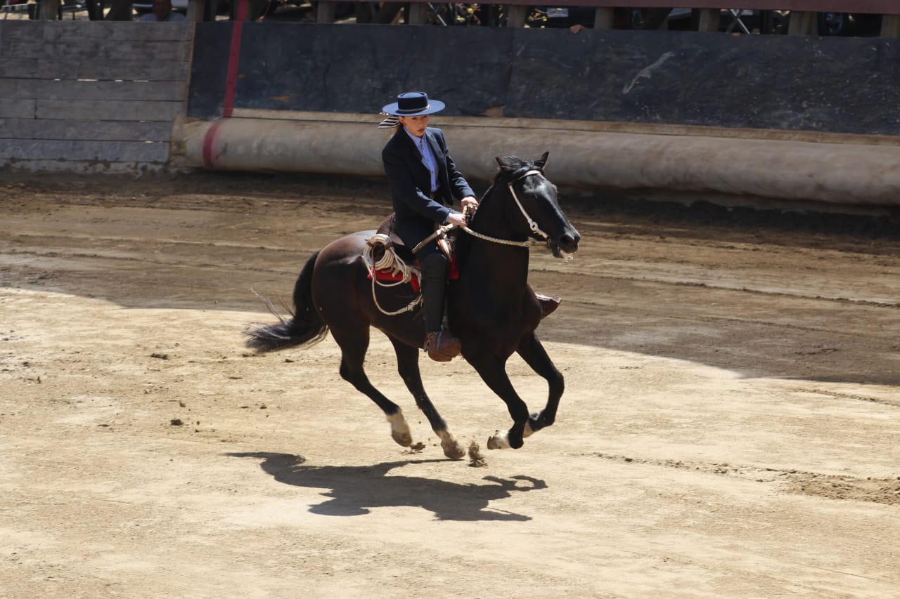 campeonariendas