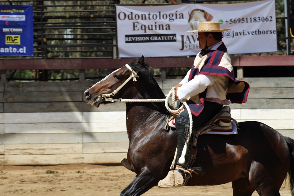 campeonriendas2