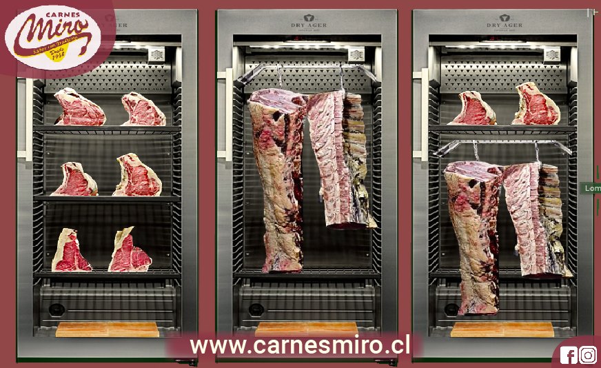 carnes miro07