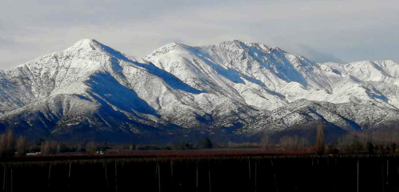 nieve24junioc