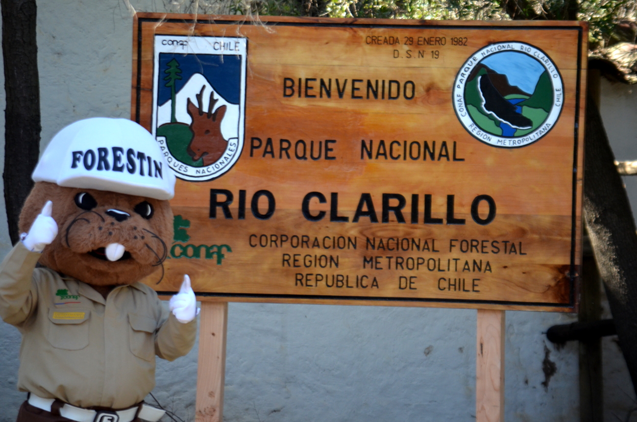parquerioclarillo18
