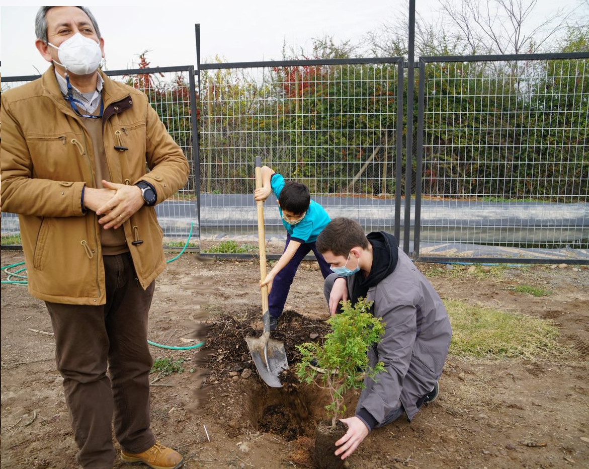 dia arbol almenar01b