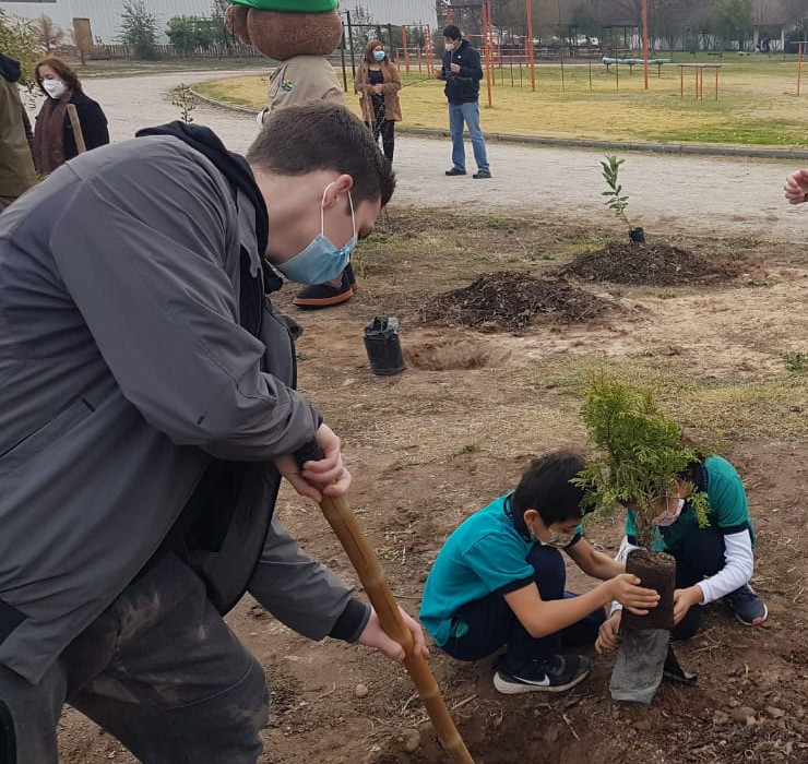 dia arbol almenar05