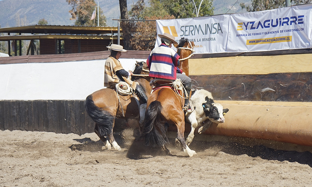 campeonato rodeo2022d