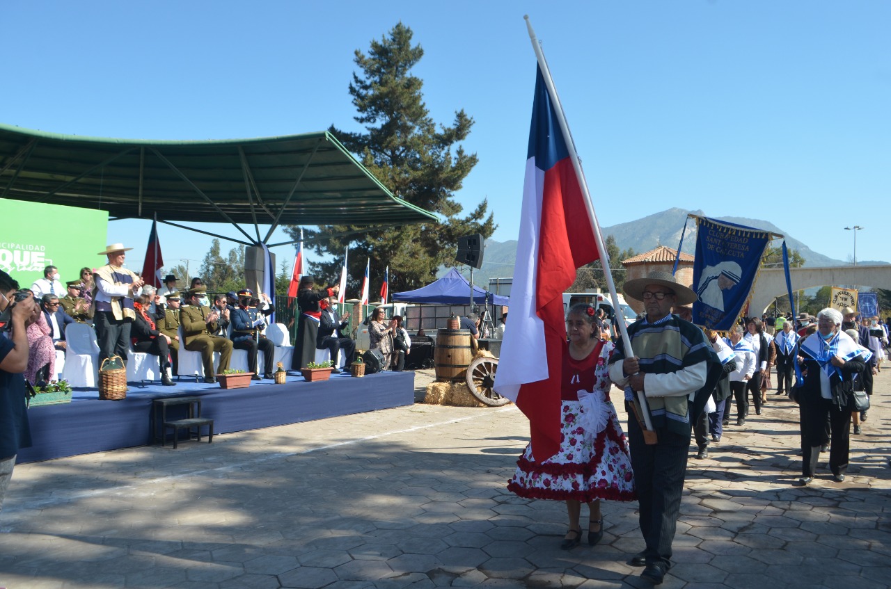 desfile adultos4