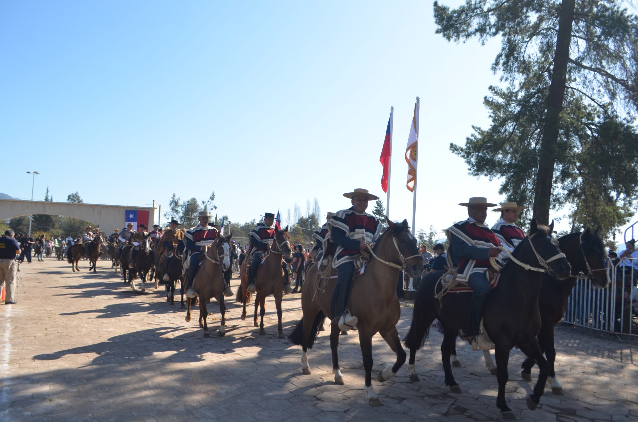 desfile huassos3