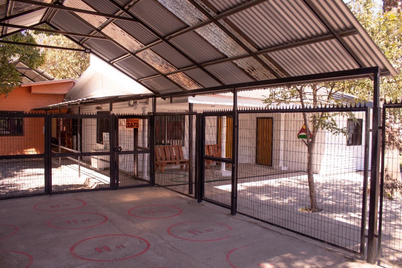 escuela lenguaje 06