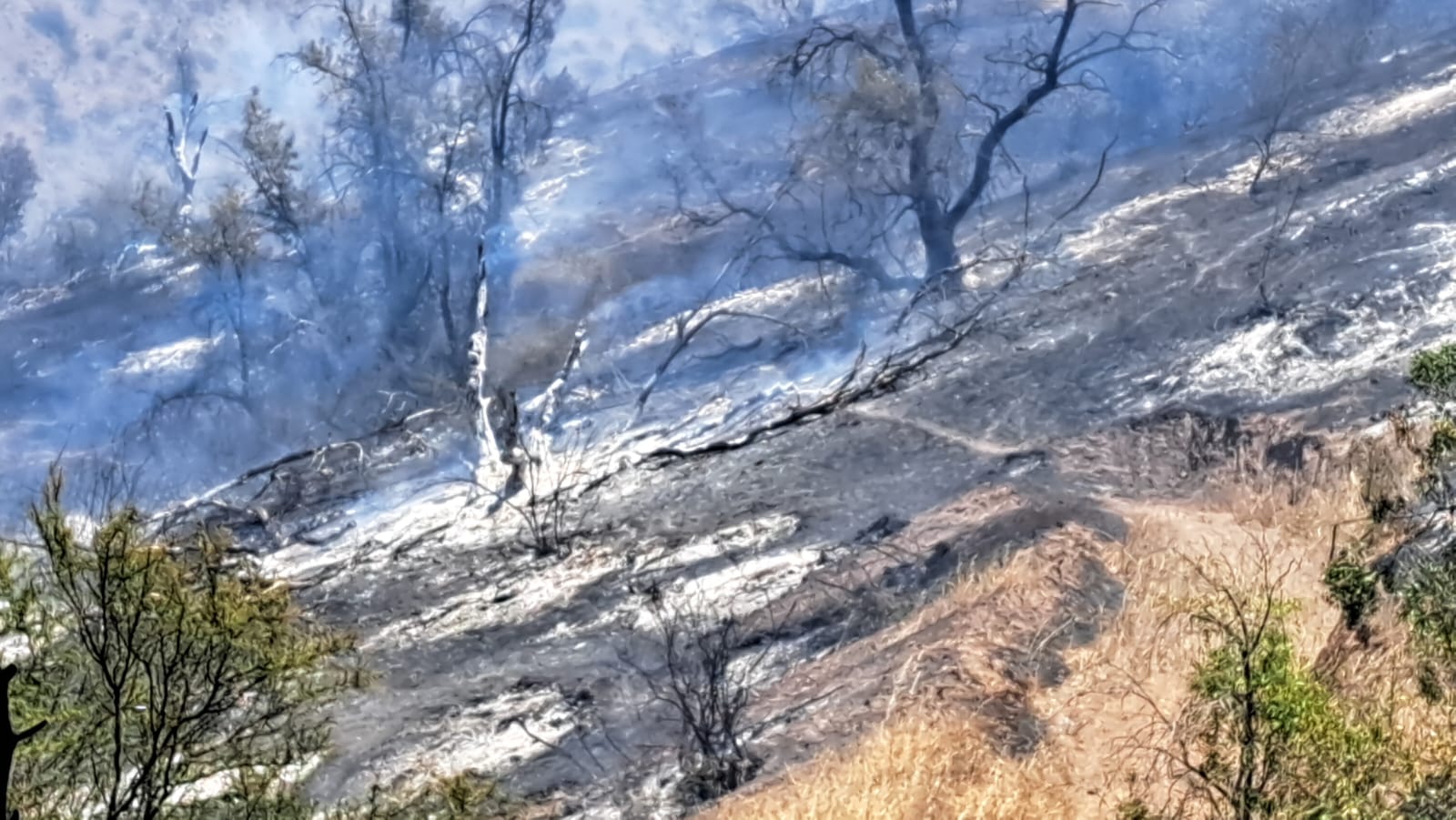 incendio rinconada dic06