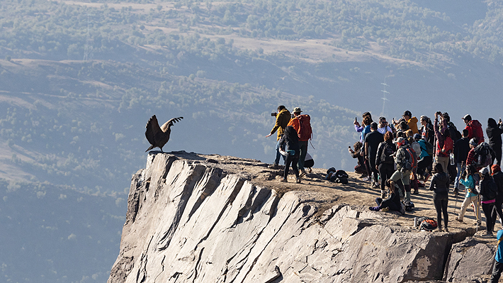 mirador condores03