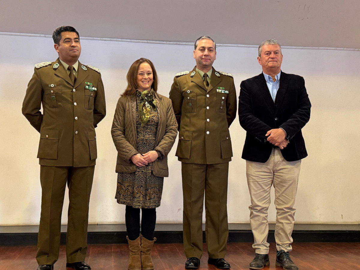 CARABIEROS PIRQUE 03