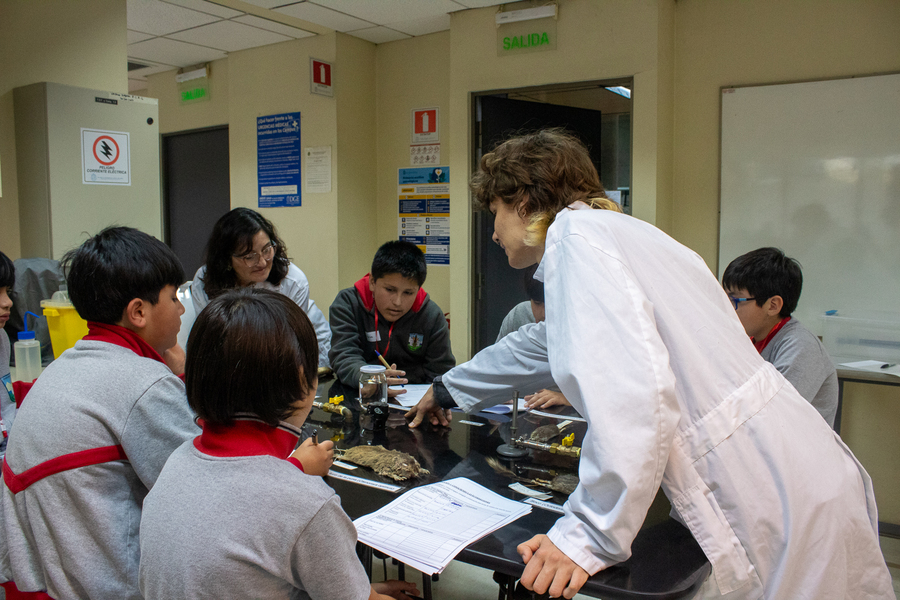 Proyecto ConCiencia 3