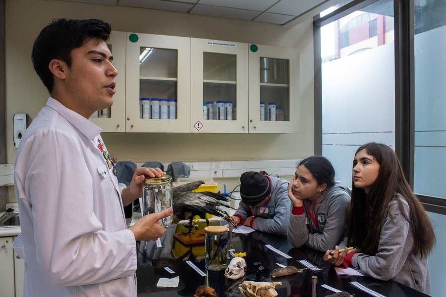 Proyecto ConCiencia 7
