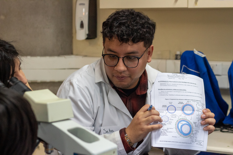 Proyecto ConCiencia 8