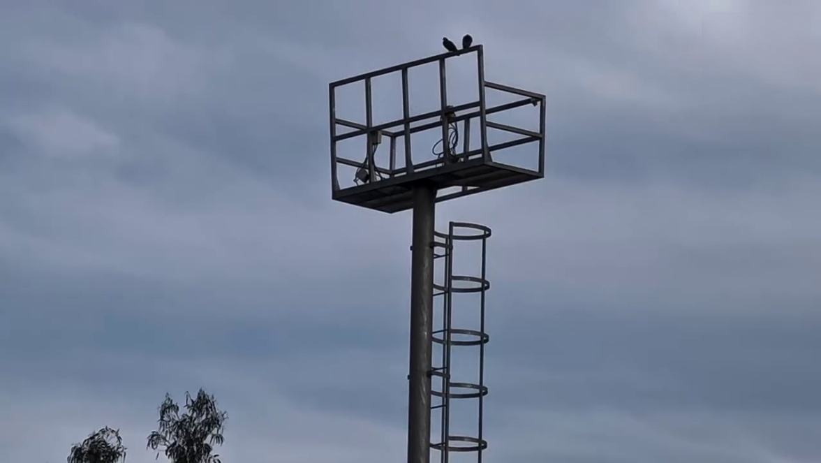 frame 39012000