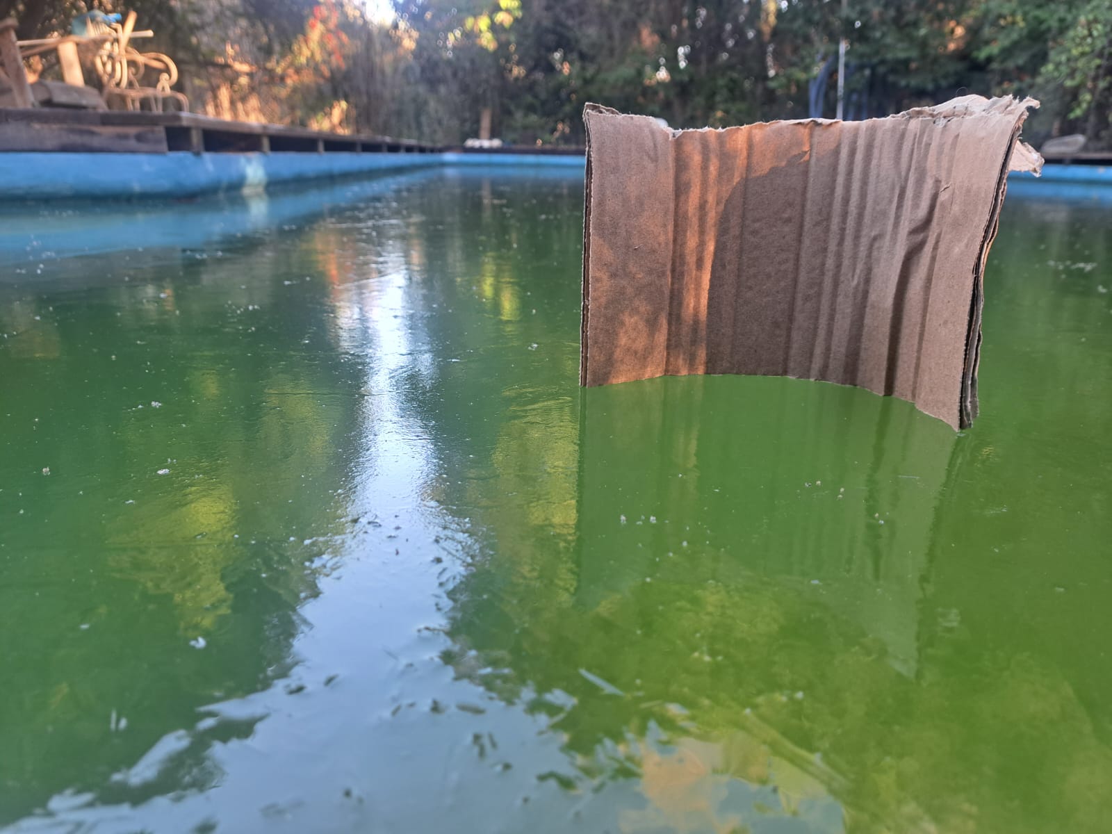 piscina congelada2025 012