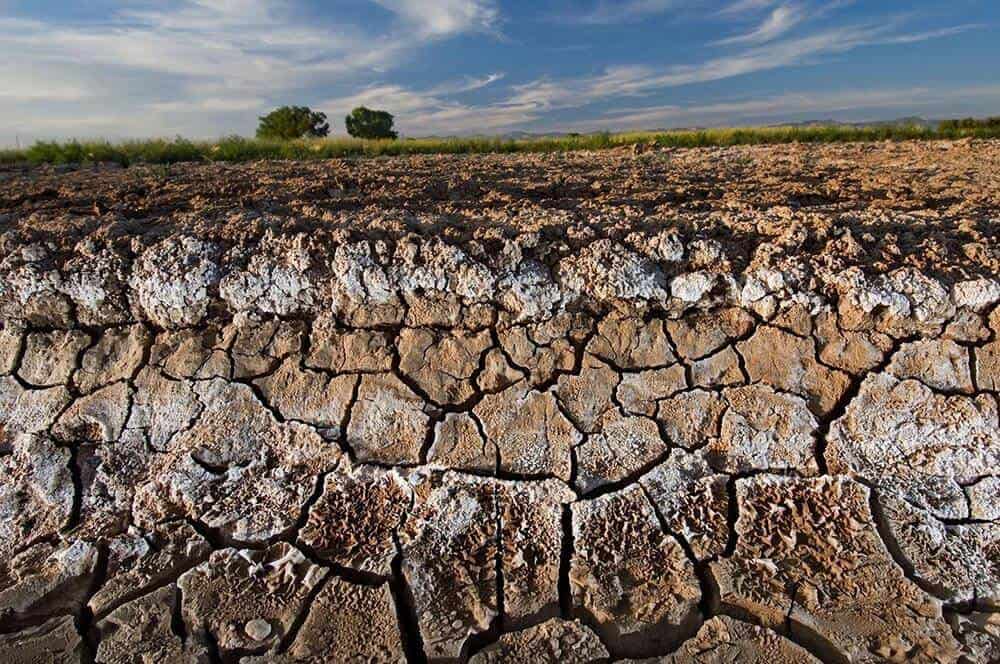 soil salinization