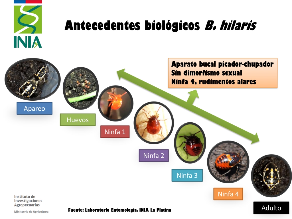 5 antecedentes biológicos