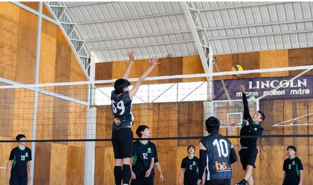 Almenar voleibol03