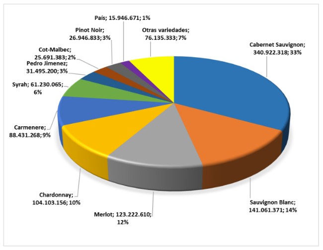 Infome de producion de vino 2022 01