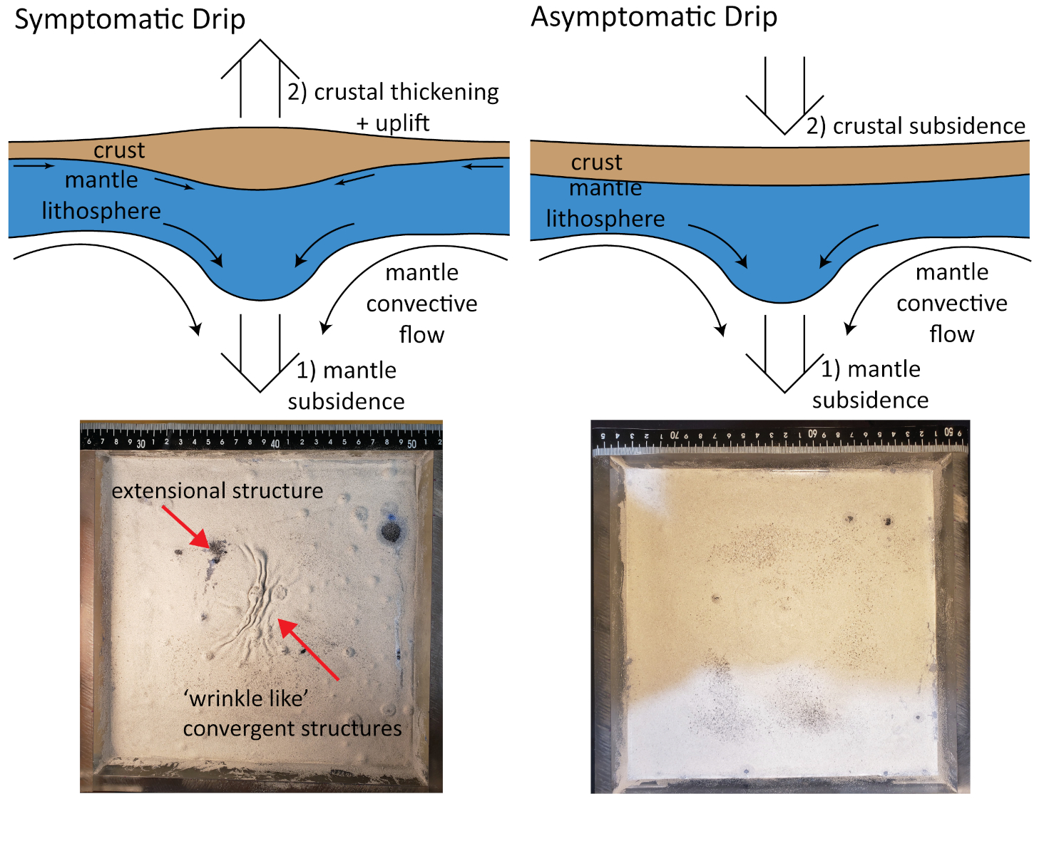 Lithospheric drip experiment results