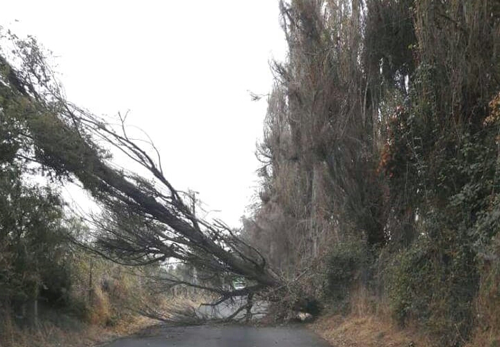 caida 5c6d7df9 8df2 499e b619 356f613caec3