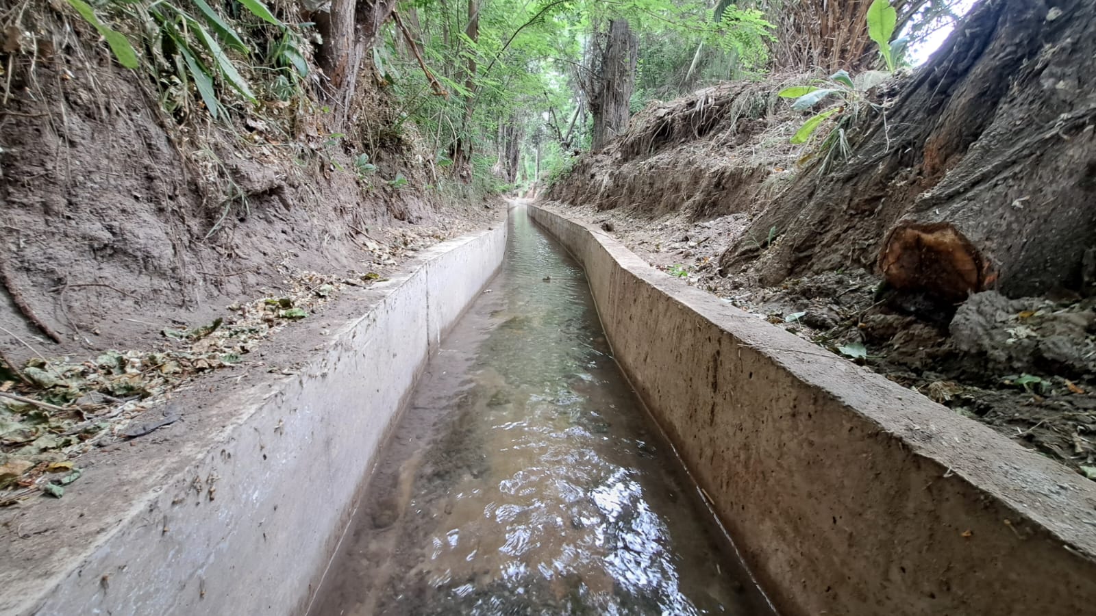 comunidad de Agua El Principal0008