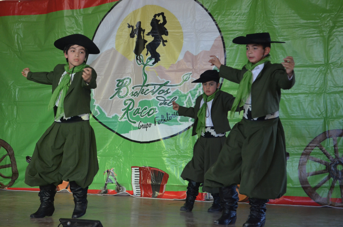 Festival Folclórico Infantil y Juvenil 019