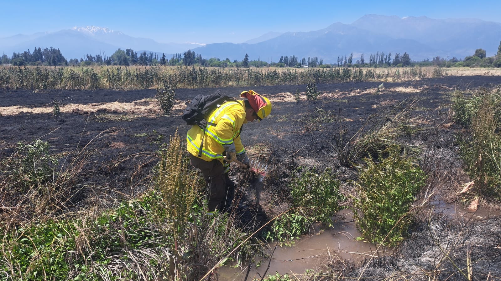 incendio fundo haras05