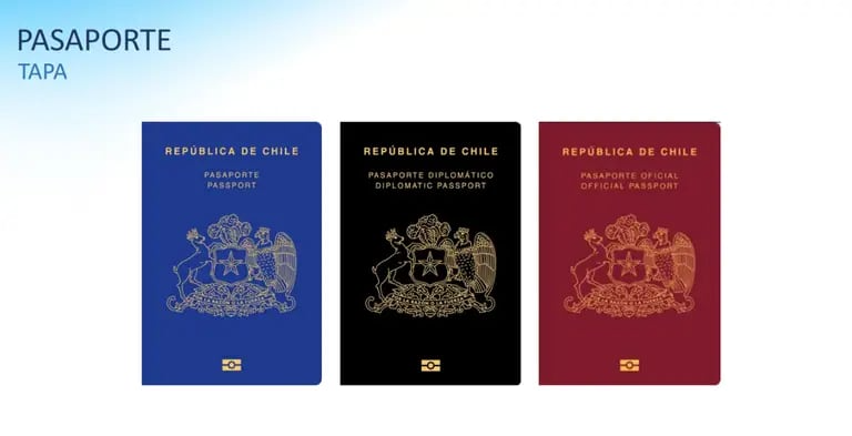 pasaporte 2